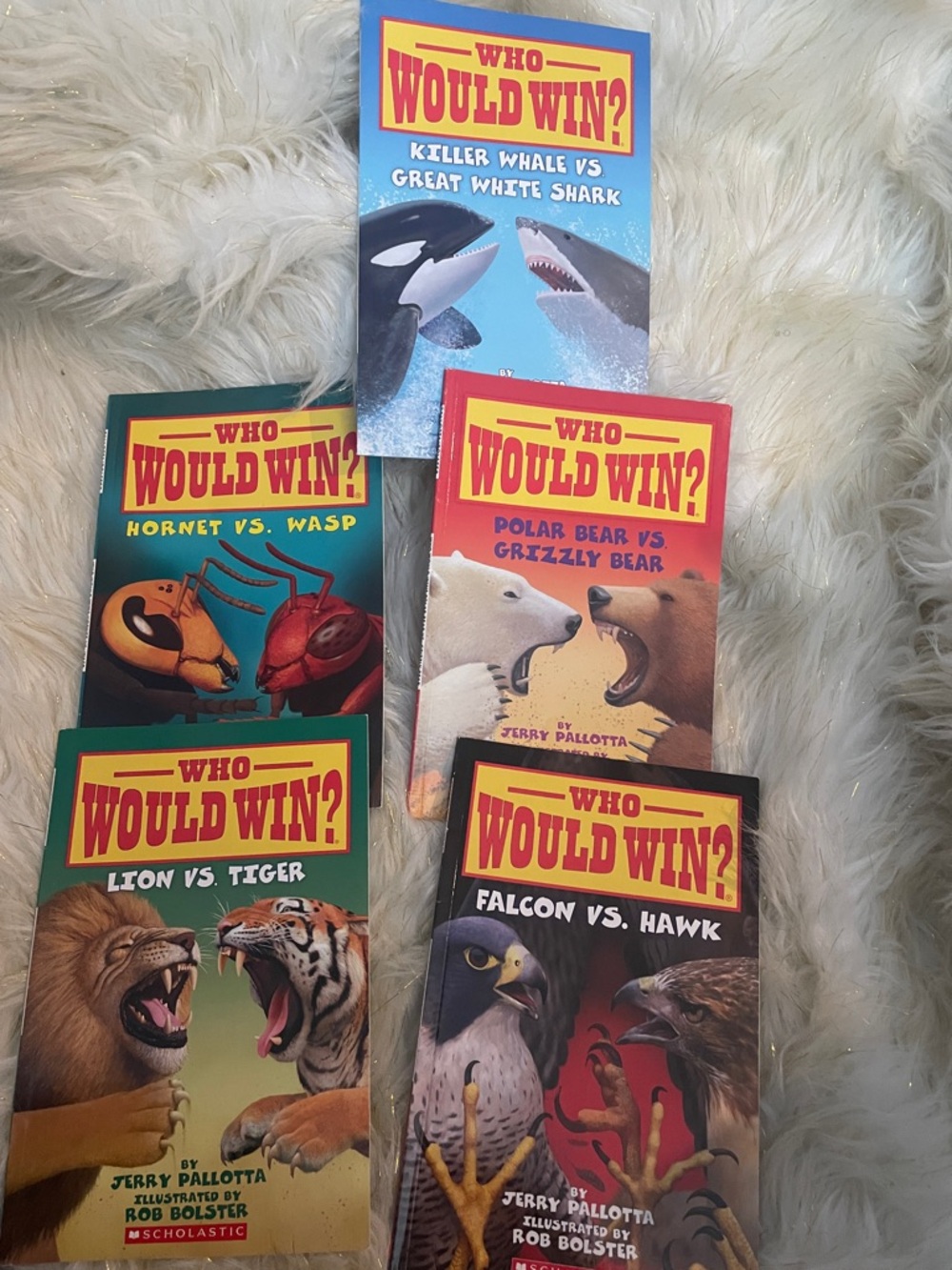 Who Would Win? Animal Face-Off Book Set - Multicolor